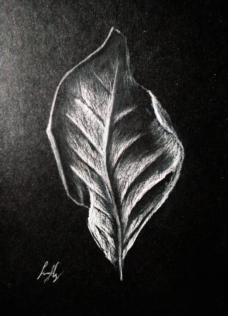 White Pencil Drawing On Black Paper