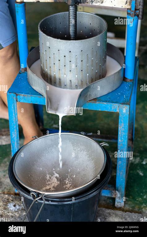 Coconut Milk And Juice Extractor Machine Screw Press Type Coconut Milk