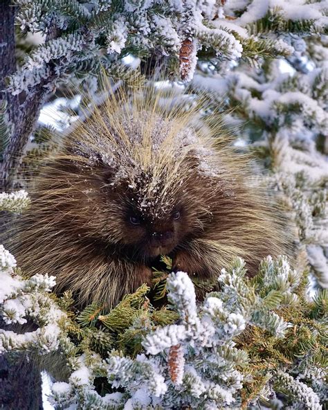 Northwest Territories Tourism