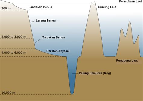 relief dasar laut