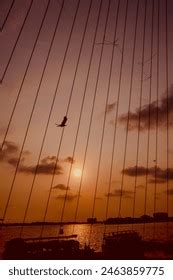 Hd Naked Group Girls Photos And Images Shutterstock