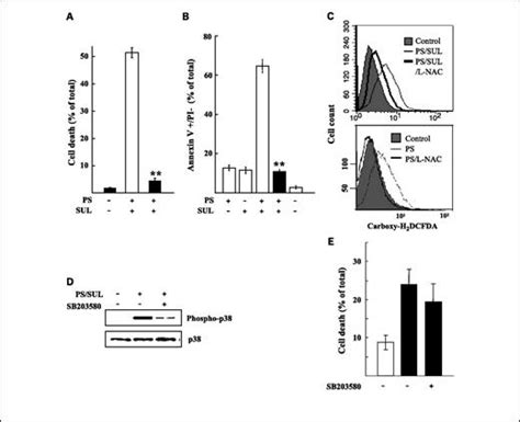 Sulindac Enhances The Proteasome Inhibitor Bortezomib Mediated