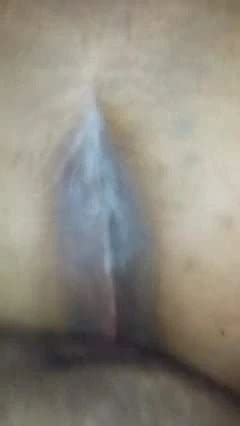 Free SSBBW Anal Porn Videos 3 XHamster