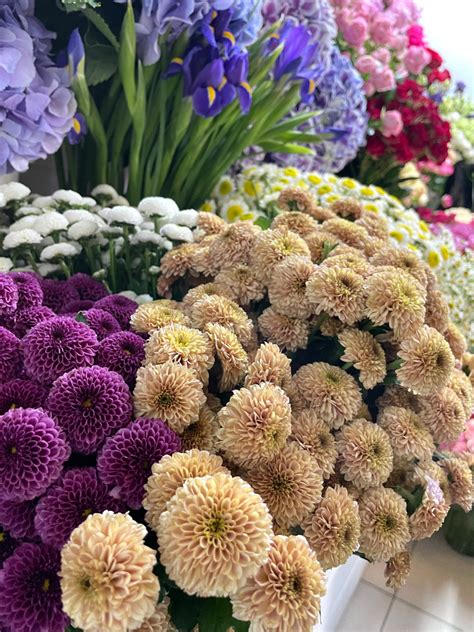 Купить «Хризантема кустовая помпонная» с доставкой в Чите - «Flowers World»