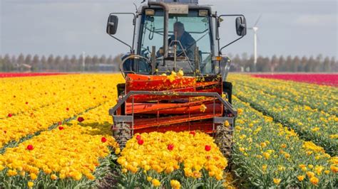 Netherlands launches 2030 vision to protect biodiversity in agriculture