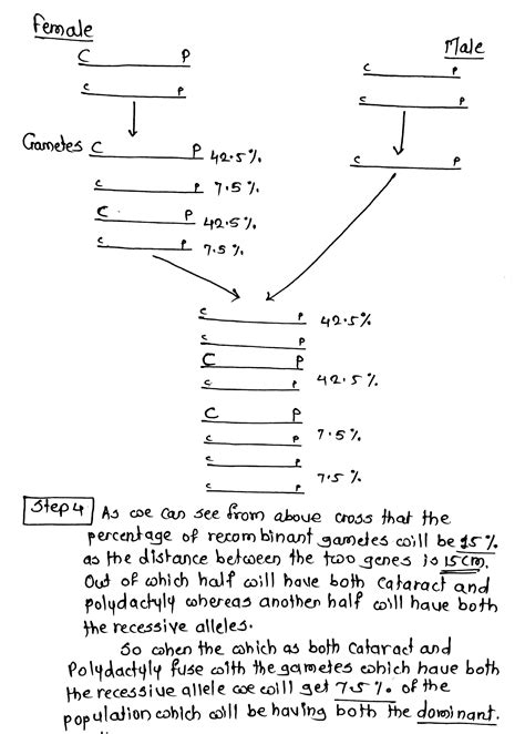 [Solved] . 2. A woman has two dominant traits, each caused by a mutation in a different gene