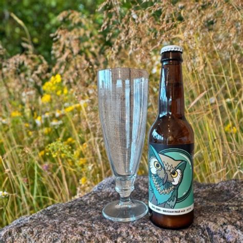 Owl Beer Blonde Pale Ale Cl Brasserie Des Sagnes Picores Y Picerie Aubi Re Produits