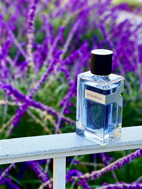 Yves Saint Laurent Y Yves Saint Laurent Kolonjska voda - parfem za ...