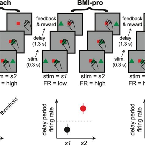 The Task Event Sequence And The Stimulus Response Rule A The Temporal