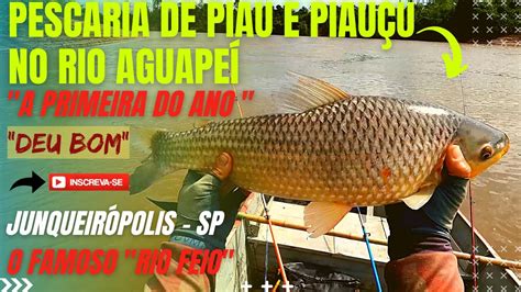 PESCARIA DE PIAU PIAPARA E PIAUÇU NO RIO AGUAPEÍ FAMOSO RIO FEIO