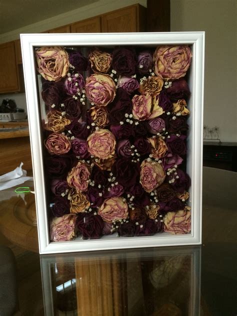 Diy Rose Shadow Box Size Chatroom Sales Of Photos