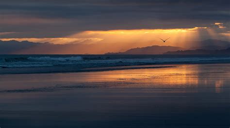 Sunlight Sunset Sea Shore Reflection Sky Clouds Beach Sunrise