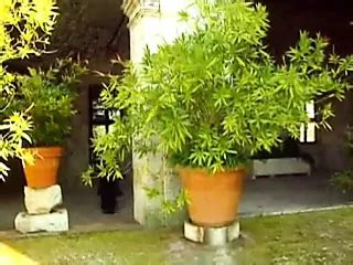 La Monaca Lussuriosa Free Porn Video XHamster