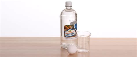 Naked Eggs Steve Spangler