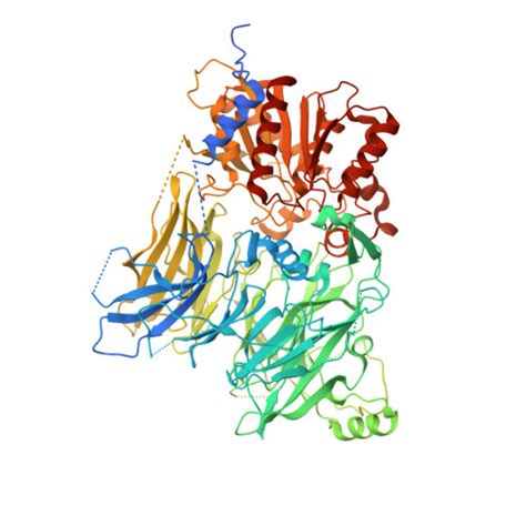 Gene Q Ti Protein Dpp Overview Cansar Ai