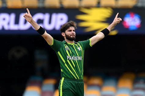 Shaheen Afridi Life Net Worth Height Achievements Body Measurements