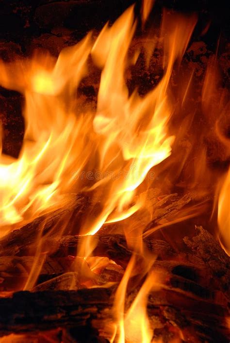 Burning Hot Stock Image Image Of Barbecue Orange Flame 12704573