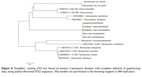 Neighbor Joining NJ Tree Based On Kimura 2 Parameter Distance With