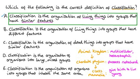 Question Video Defining Biological Classification Nagwa