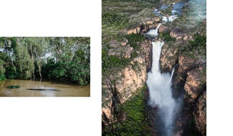 Yes You Should Go To Kakadu In Wet Season