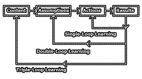 levels  organizational learning library information management