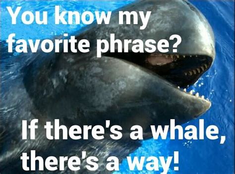 Whale Puns Punpedia