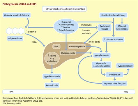 Diabetic Ketoacidosis And Hyperosmolar Crisis In Adults Medicine