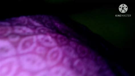 Indian Wife Blowjob Fantasy Year Old Porn Feat Couples XHamster