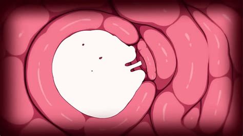 Fate Grand Order Videos XVIDEOS