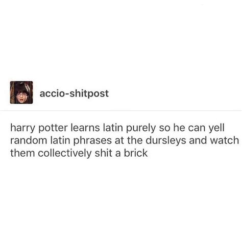 Pin By Brianna On Harry Potter Harry Potter Headcannons Harry Potter Feels Gay Harry Potter