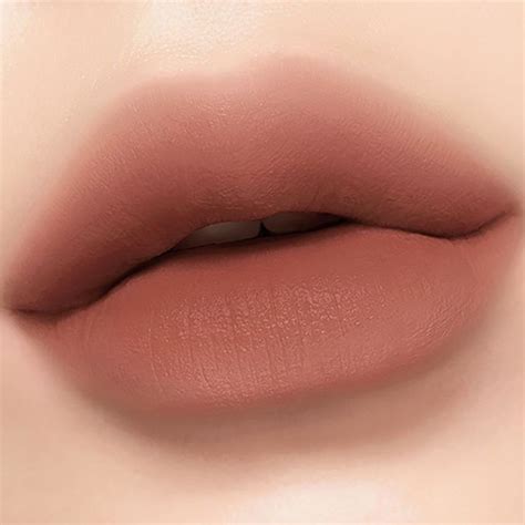 Ink Velvet Nutty Nude Perfect Lips Full Lips Makeup Neutral Lips