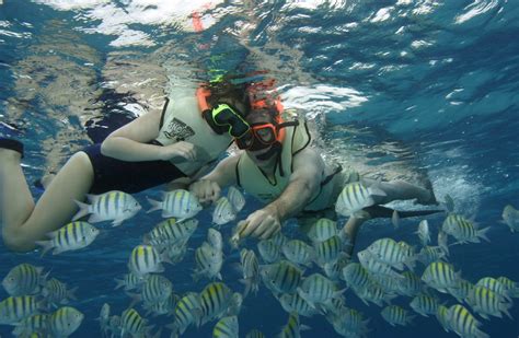 nassau-snorkeling-adventure-sealife - Bahamas Cruise Excursions