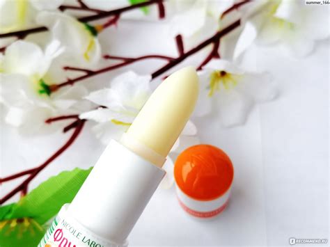 Гигиеническая помада Nicole Laboratory Фруктовый поцелуй "Апельсин" с ...