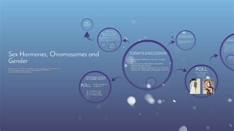Sex Hormones Chromosomes And Gender By Kristina Elias On Prezi