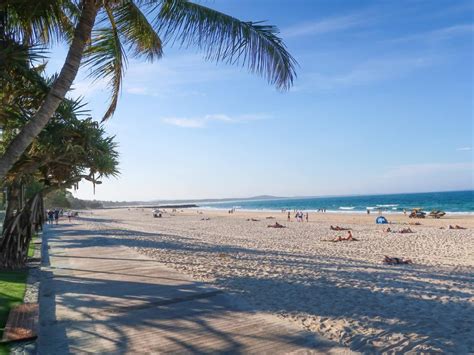 sunshine coast strayaguide