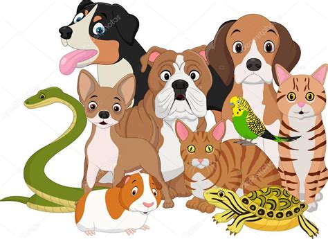 Grupo De Dibujos Animados De Las Mascotas Vector De Stock Tigatelu