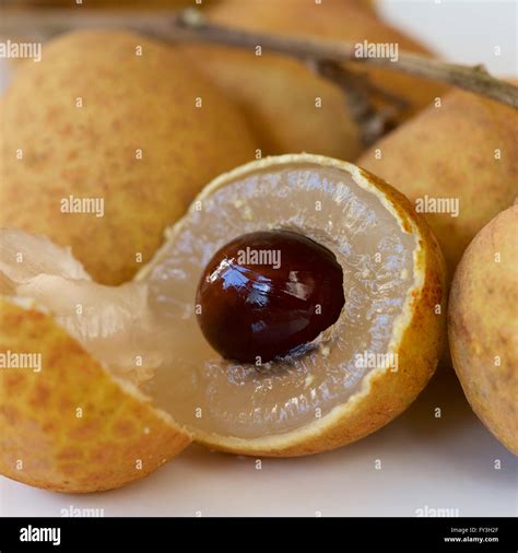 Logan Fruit Cambodia Stock Photo Alamy