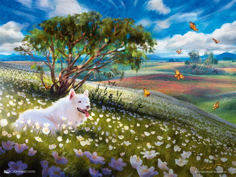 Plains Mtg Art From Jumpstart Set By Johannes Voss Art Of Magic The