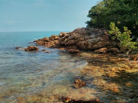 hutan rekreasi tanjung tuan janise brito