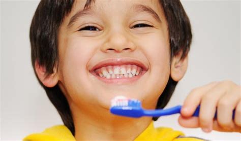 Teeth Brushing Tips And Techniques Rosanna Dentist Doctors Greville