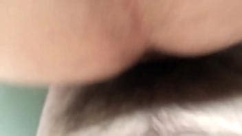 Deux Ours Baisent Xvideos