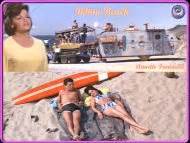 Annette Funicello Nue Dans Bikini Beach