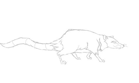 Awesome Possum Animation Wip By Madlyinlov3 On Deviantart