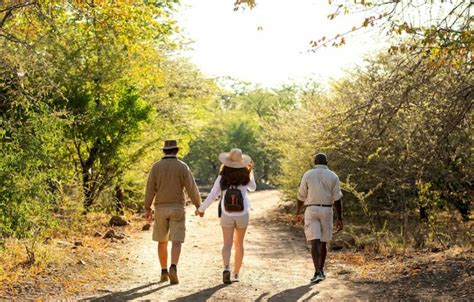 Chobe Safari Specials Ichingo Chobe River Lodge