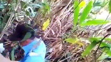 Horny Latina Lovers Fuck Outside Porn300