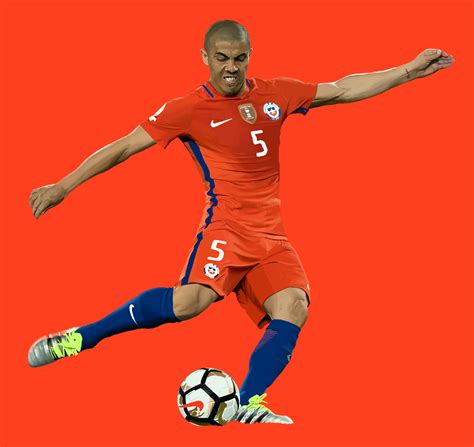 BICAMPEONES de América on Behance