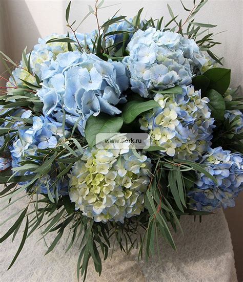 Букет гортензий "Голубые облака" — купить букет гортензий в интернет ...