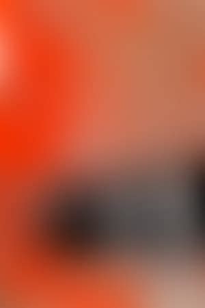 Sex Pistols The Filthy Lucre Tour Live In Japan The Movie Database Tmdb