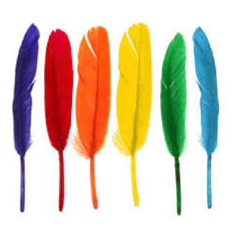 Paquete Plumas De Colores X 20 Und