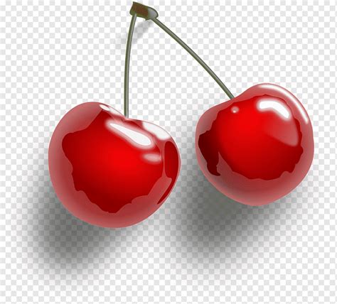 Логотип cherry (37 фото)
